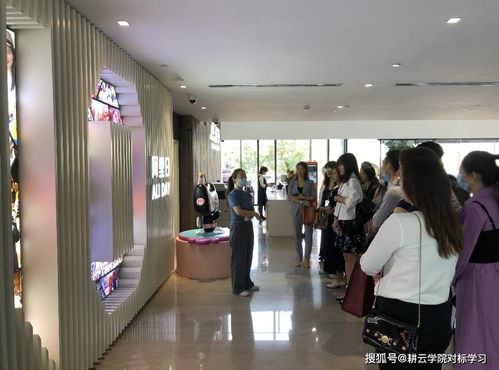 对标阿里铁军 广州企业管理咨询公司的落地学习指南